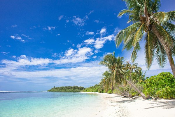 Altibus bourg saint maurice : votre passerelle vers les alpes
